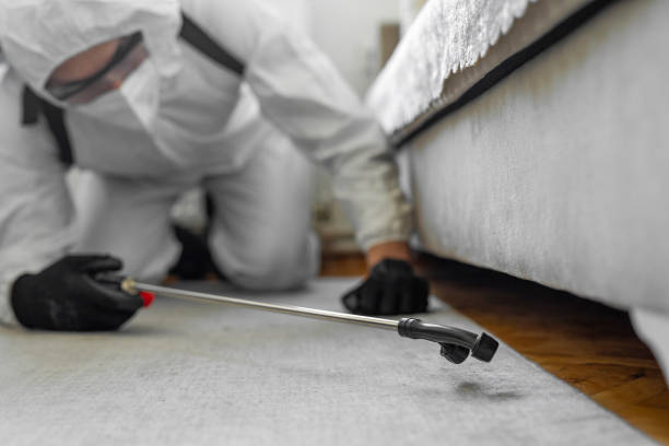 Professional Bed Bug Control technician working in West Puente Valley, CA